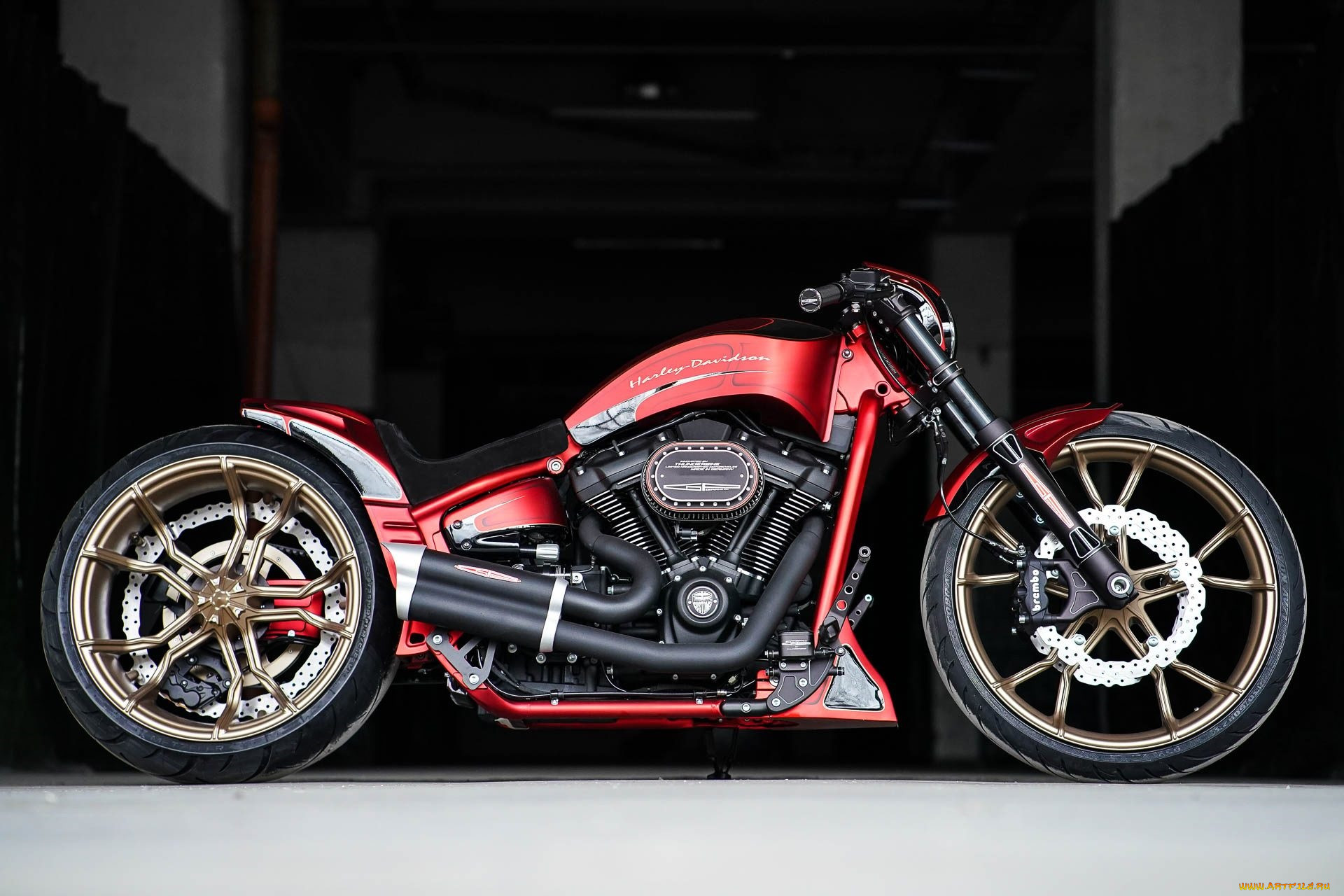 , , harley-davidson, , , 